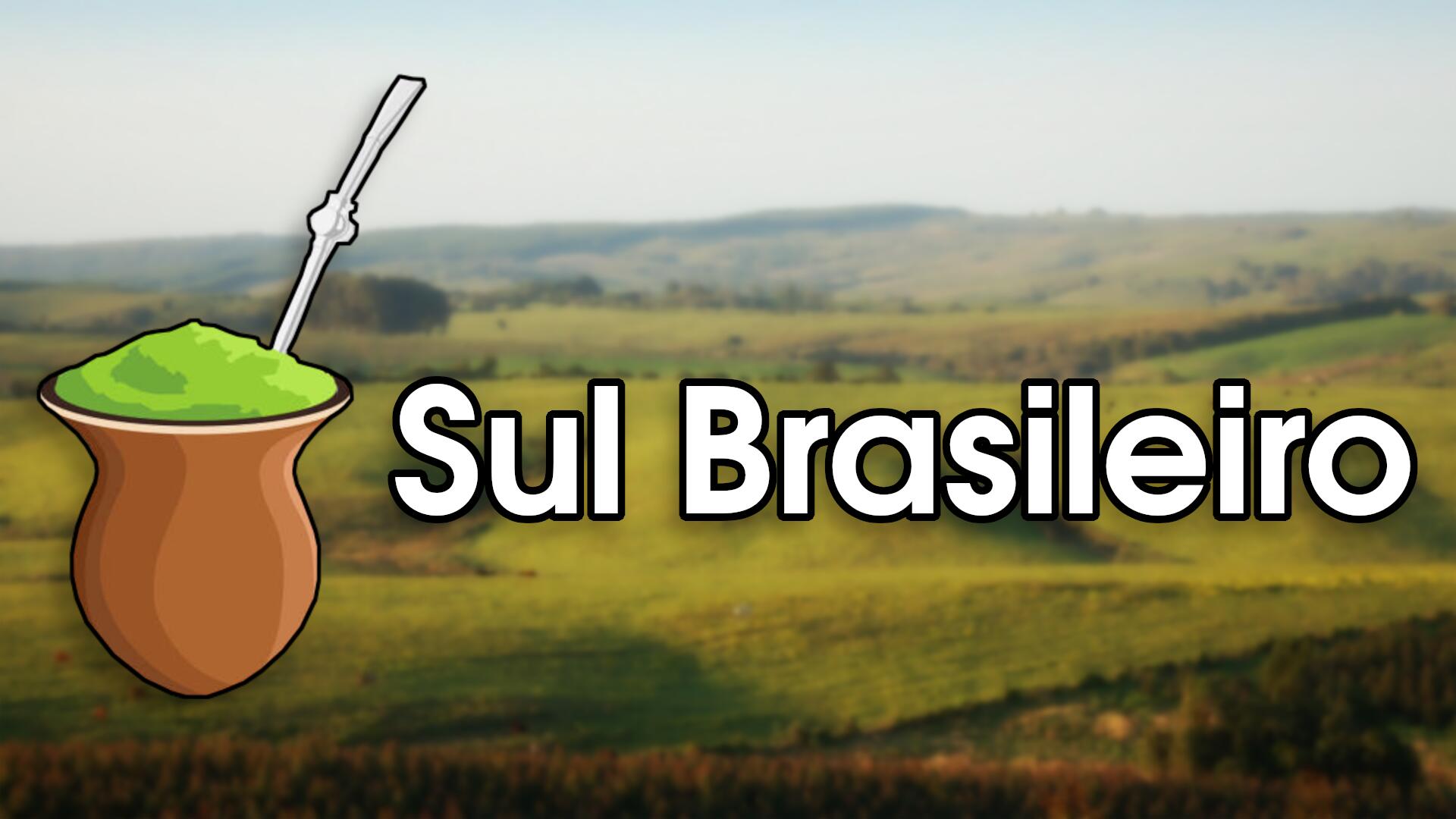 Discovery splash banner for Sul Brasileiro Discord server