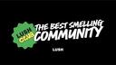 Discovery splash banner for LUSH Discord server