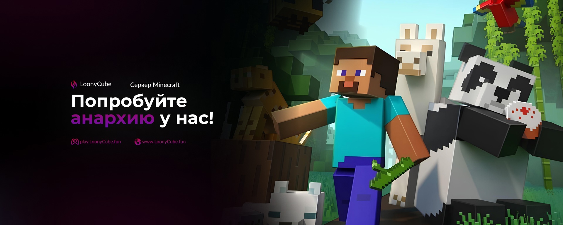 Discovery splash banner for LoonyCube Discord server
