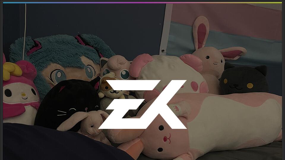 Discovery splash banner for eXpidors Community Discord server