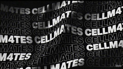 Discovery splash banner for Cellmates Discord server