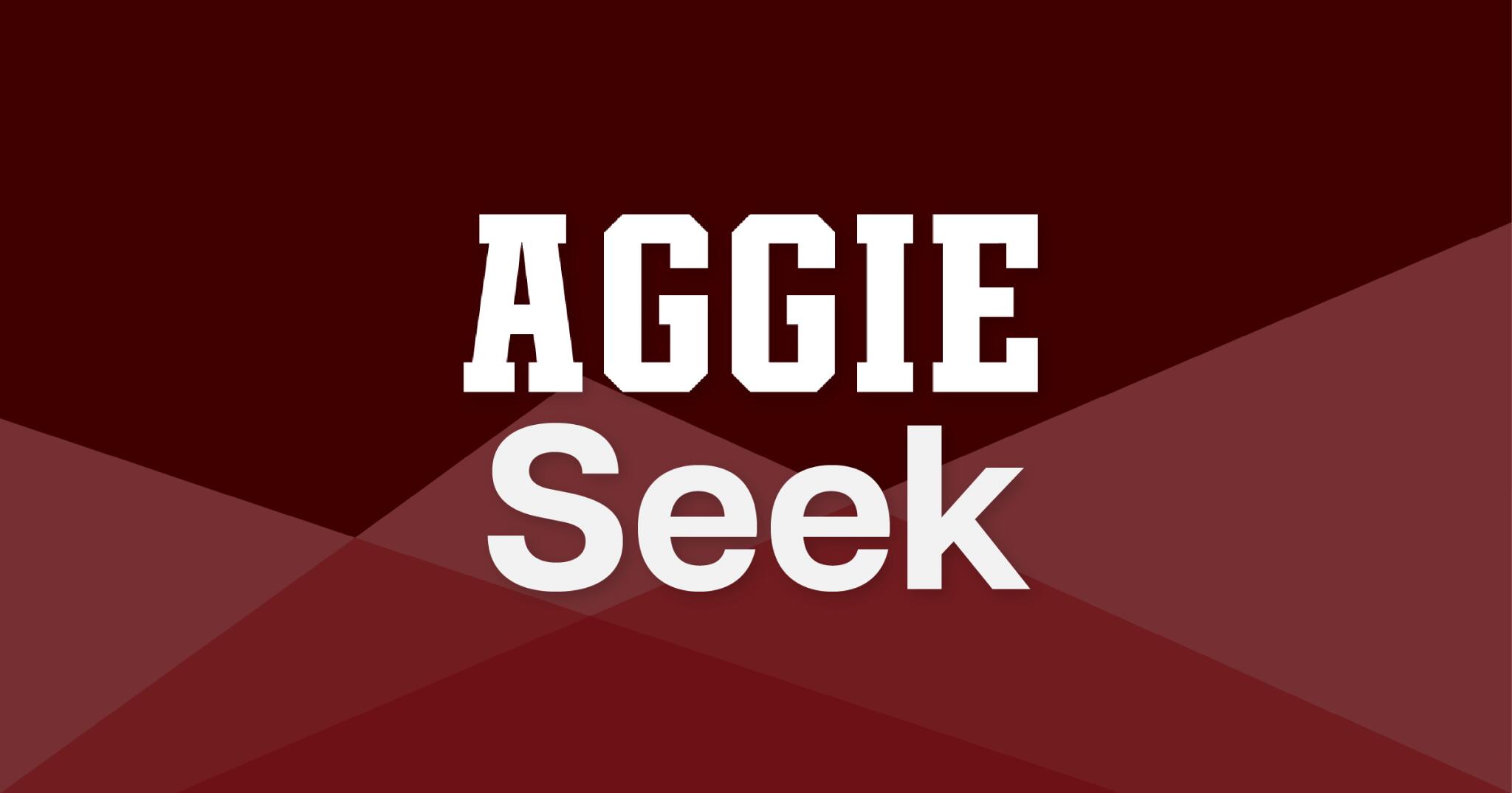 Discovery splash banner for AggieSeek Discord server