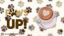 Discovery splash banner for 🐾 Paws Up! ☕ Discord server