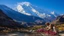 Discovery splash banner for Talk Pakistan Discord server