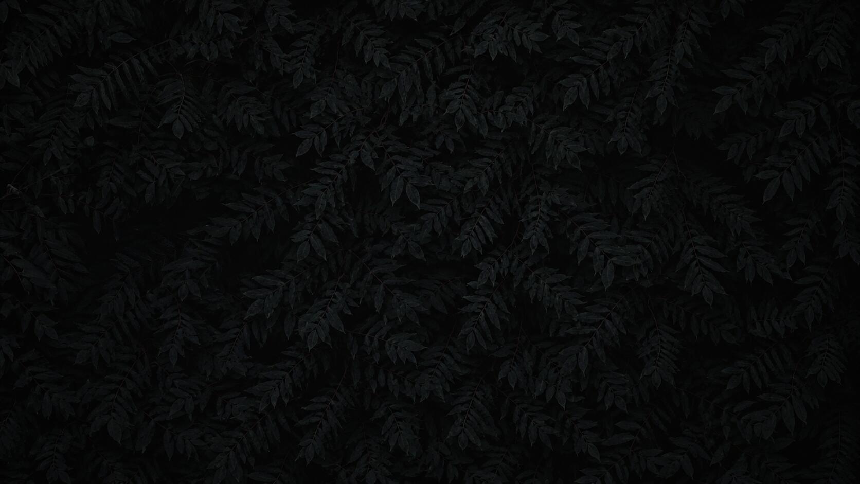 Discovery splash banner for TMH | APKs And Metadatas Discord server