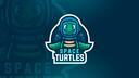 Discovery splash banner for Space Turtles Discord server