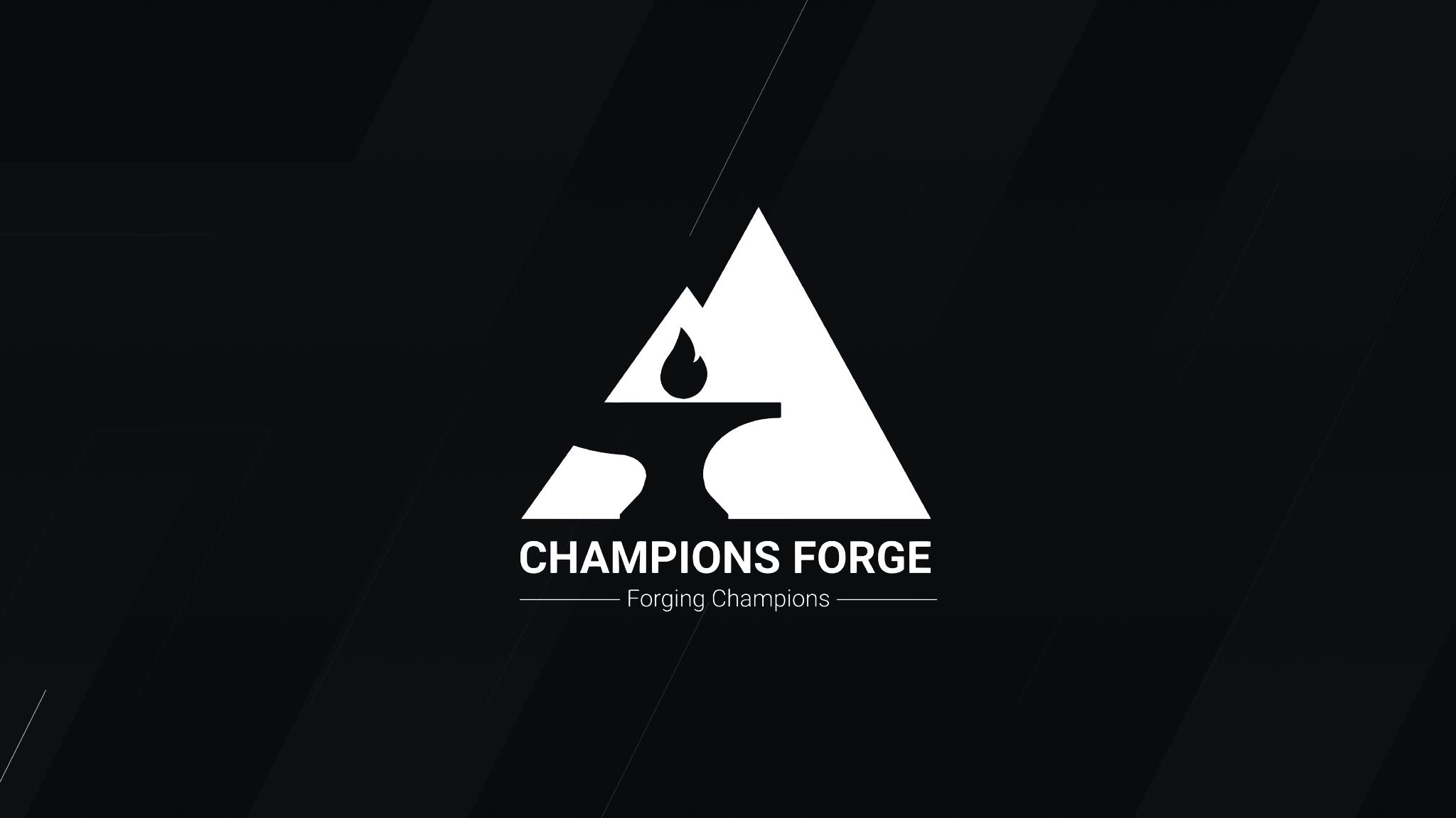 Discovery splash banner for Champions Forge Discord server