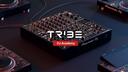 Discovery splash banner for Tribe XR Discord server