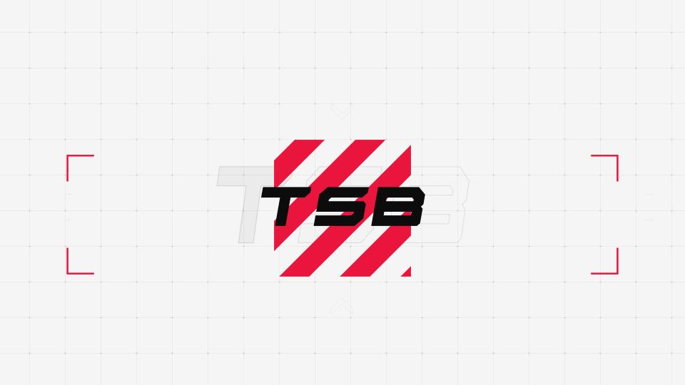 Discovery splash banner for TSB’s Discord Discord server