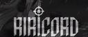Discovery splash banner for RiRicord. Discord server
