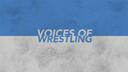 Discovery splash banner for Voices of Wrestling Discord server