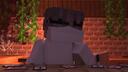 Discovery splash banner for FANZY COMMUNITY Discord server