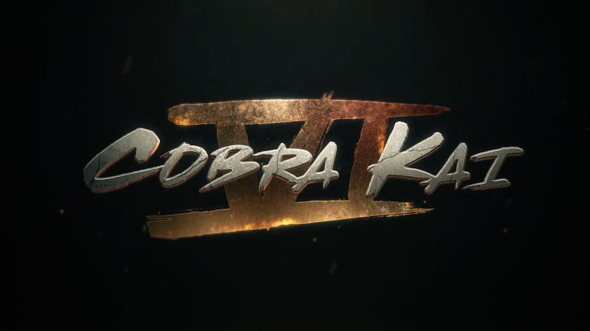 Discovery splash banner for Cobra Kai Discord server