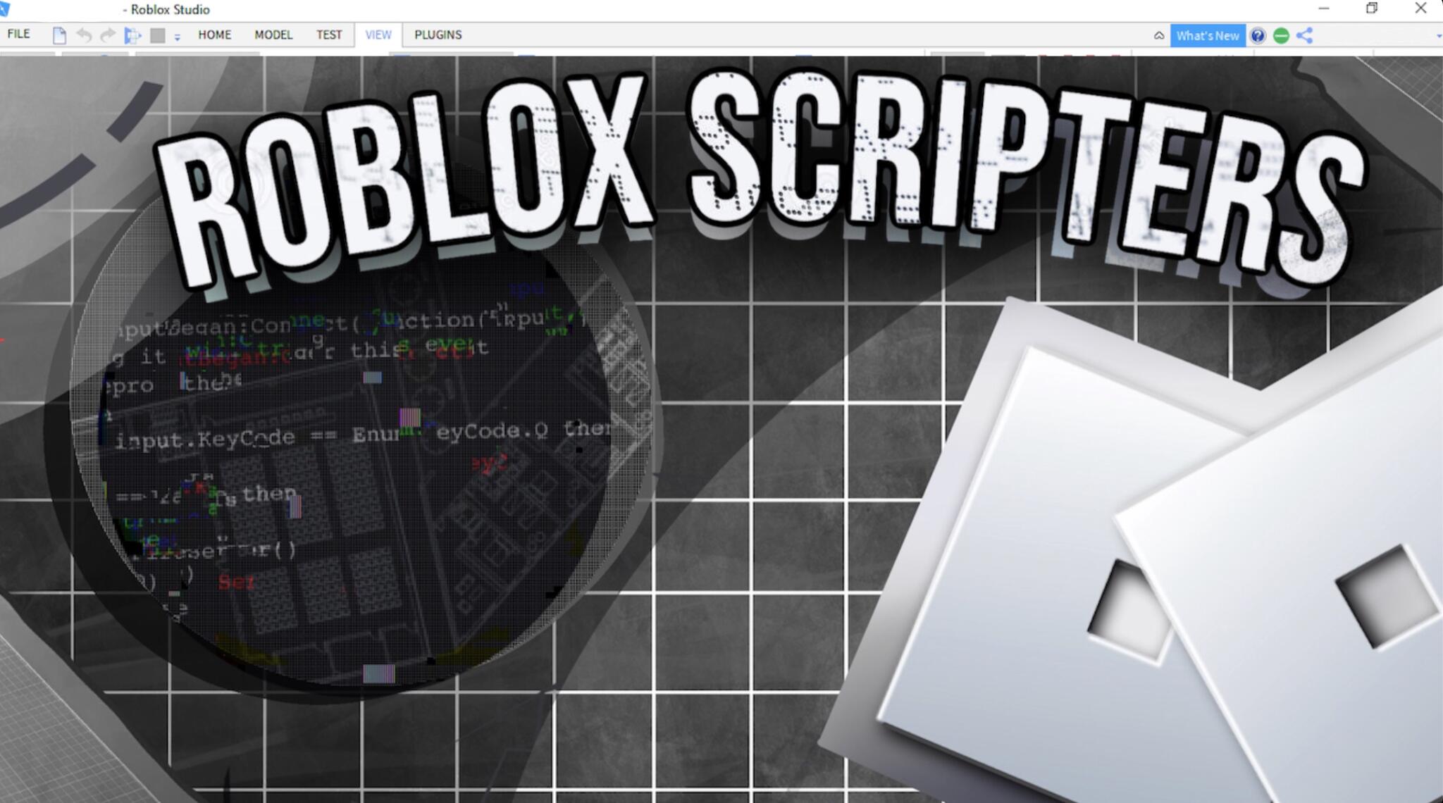 Discovery splash banner for Roblox Scripters Discord server