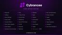 Discovery splash banner for Cybrancee.com Discord server