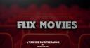 Discovery splash banner for Flix Movies Discord server