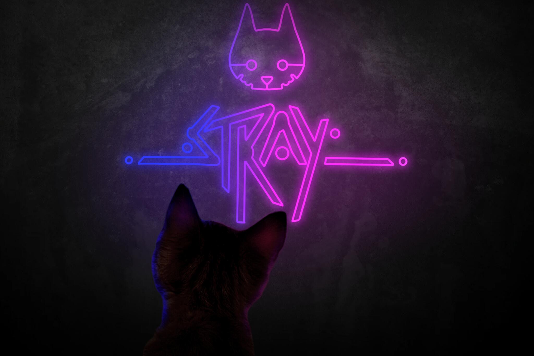 Discovery splash banner for Stray Discord server
