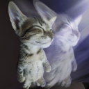 Discovery icon for jiu's basement Discord server