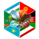Discovery icon for Central Asian Community Discord server