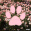 Discovery icon for ˖ ✿ ˚ 。 ノdarliing Discord server