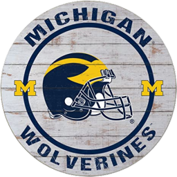 Discovery icon for Michigan Wolverines Discord server