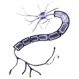 Discovery icon for SoraSysᶜʰᵒʳᵈᵃᵗᵃ Discord server