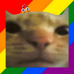 Discovery icon for Cat Stand Discord server